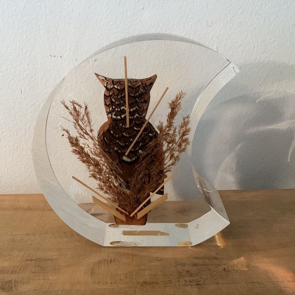Vintage Mid-Century Hand Carved Wooden Owl Encased in Lucite Shaped Moon - Picture 3 of 8